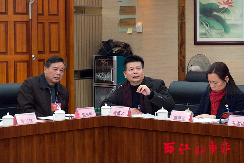 各縣（市）代表為推進新型城鎮化建言獻策