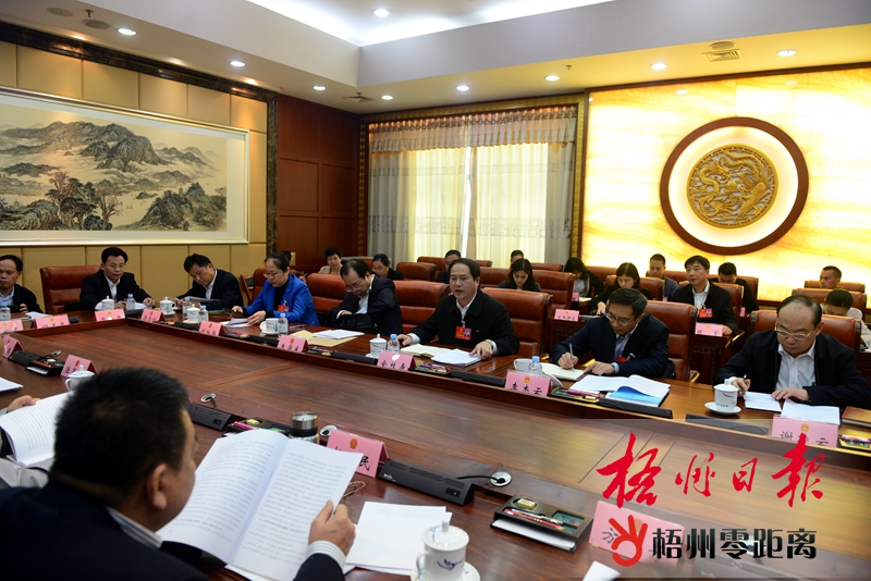 梧州市代表團審議自治區人大常委會工作報告