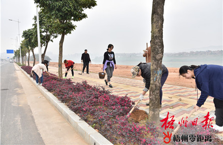 撫育新栽六旺樹