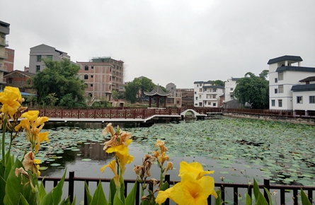 提升鄉村風貌