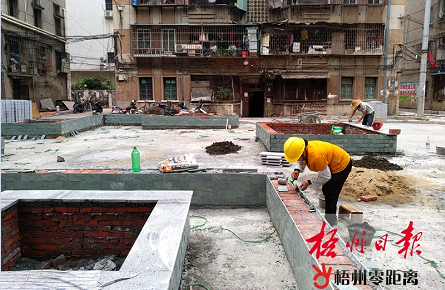 下三云小區棚改項目修建綠化設施