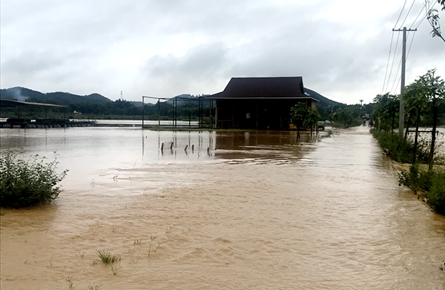 萬秀區夏郢鎮11個村水田受淹