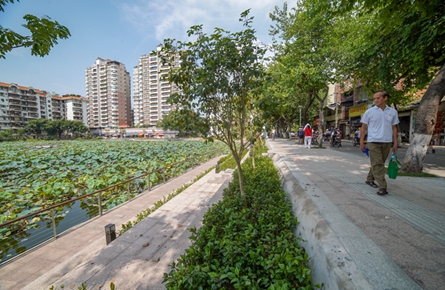 街景更靚麗