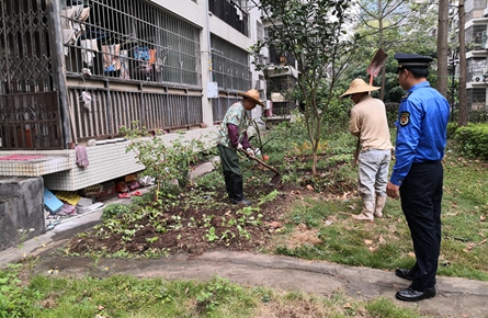 我市多部門聯合整治棗沖小區環境衛生亂象