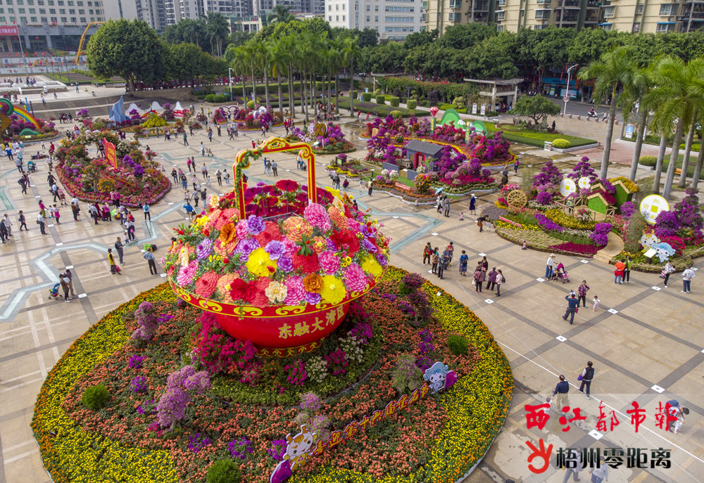 寶巾競爭艷 花海醉游人?