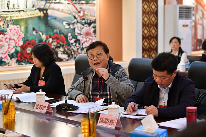 審議政府工作報(bào)告