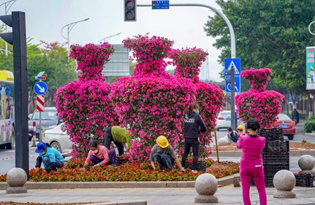 市區道路新增花瓶造型寶巾花
