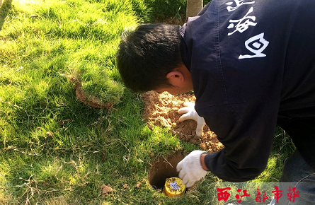 智能監控裝置準確發現白蟻