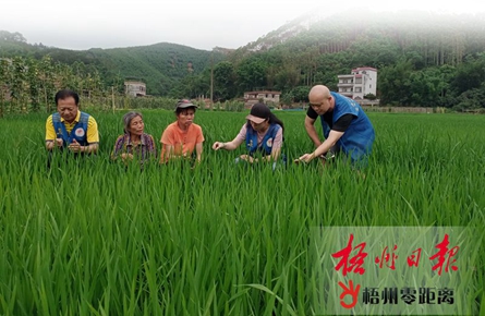 持之以恒，決戰脫貧攻堅