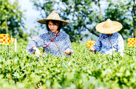 “非遺”里的大產業