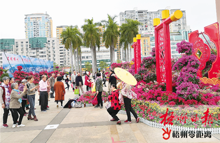 市民賞花熱情不減