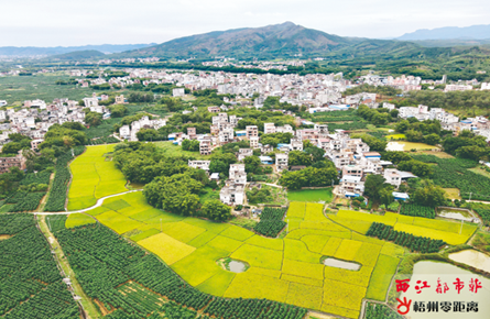 鄉村風景美如畫