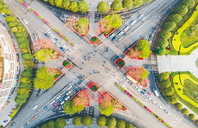 綠樹紅花 美化道路節點