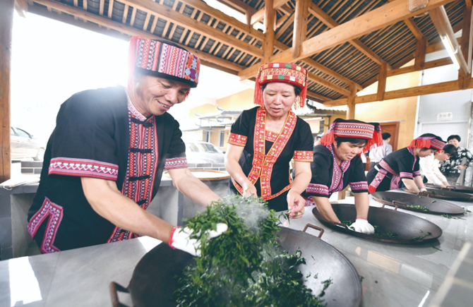 2024年蒼梧縣六堡茶開茶節(jié)活動(dòng)精彩紛呈