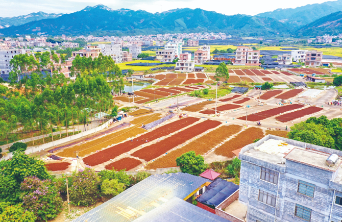 “黨建鏈”連起“產業鏈”