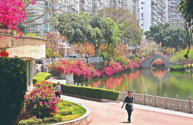 湖景優美