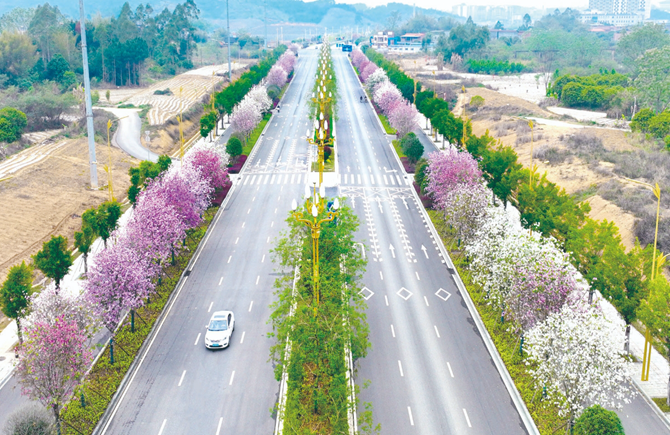 一路繁花
